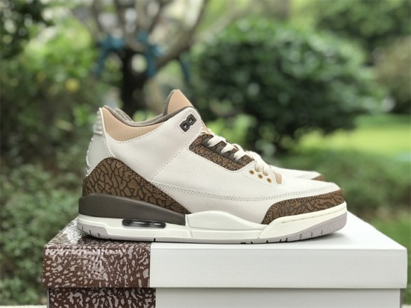 Air Jordan 3 "Palomino" 2023
