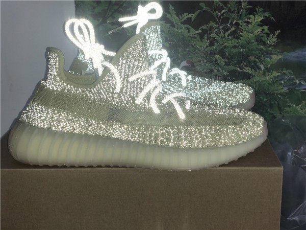 Adidas Yeezy Boost 350 V2 Antlia Reflective