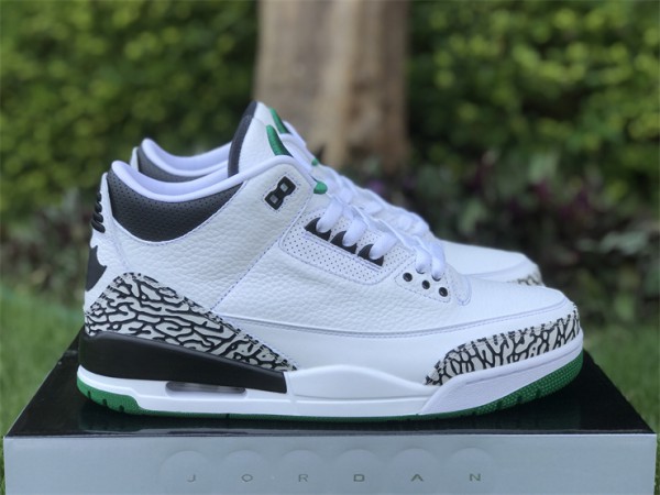 Air Jordan 3 Retro Oregon Ducks Pit Crew White (2011)
